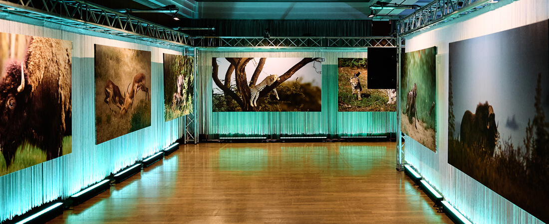 Fotoausstellung LEBENSWELTEN im Entree der Hauptausstellung KÖRPERWELTEN DER TIERE (Foto: proWIN)