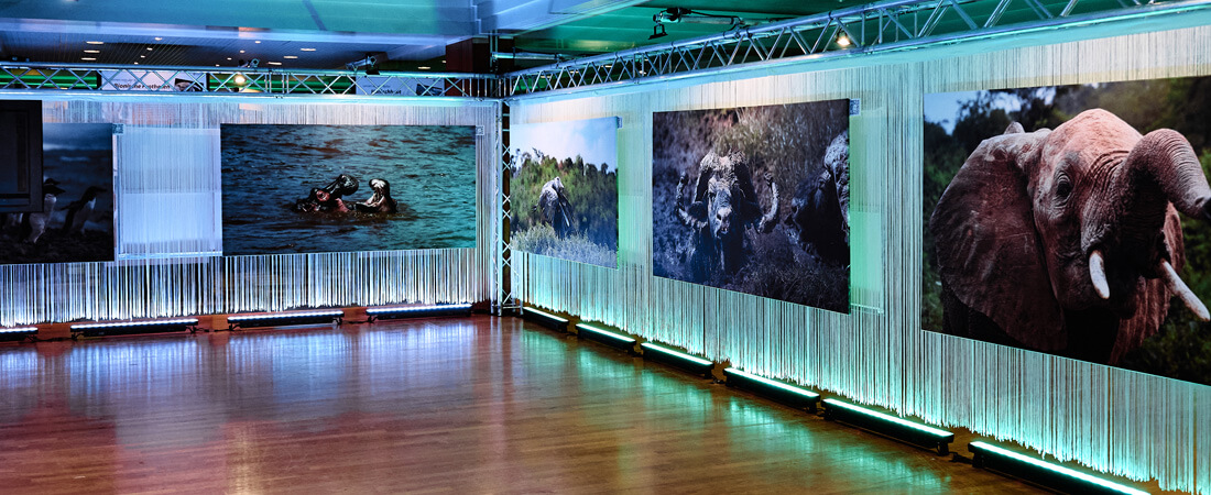 Fotoausstellung LEBENSWELTEN im Entree der Hauptausstellung KÖRPERWELTEN DER TIERE (Foto: proWIN)