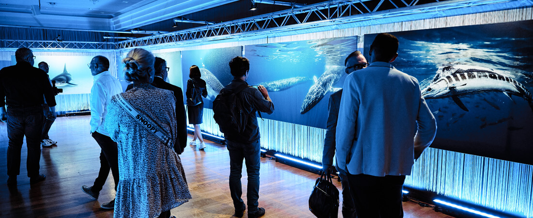 Fotoausstellung LEBENSWELTEN im Entree der Hauptausstellung KÖRPERWELTEN DER TIERE (Foto: proWIN)