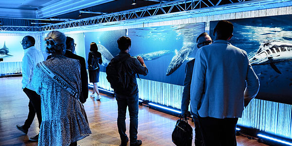 Fotoausstellung LEBENSWELTEN im Entree der Hauptausstellung KÖRPERWELTEN DER TIERE (Foto: proWIN)