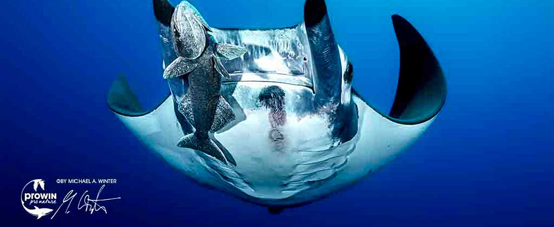 H2O – Lebensgrundlage Wasser
