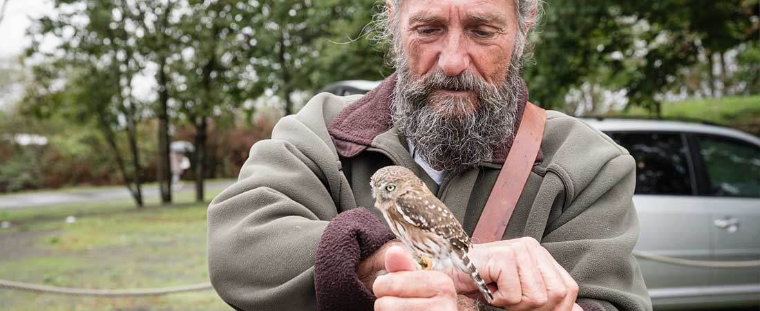 Falkner Giuseppe Rino bringt den Besuchern die Welt der Greifvögel näher