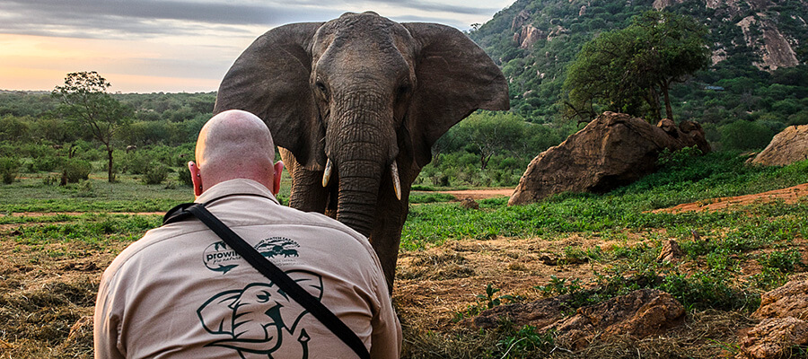 Ein großer Elefant blickt vor einer beeindruckenden Naturkulisse in Richtung eines Menschen
