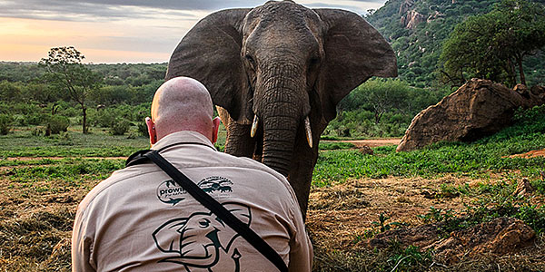 proWIN pro nature unterstützt den David Sheldrick Wildlife Trust